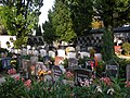 Urnenfriedhof