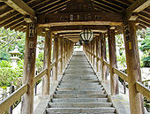 The noboriró, Nara Hasze-dera