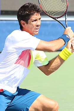 Fernando Verdasco