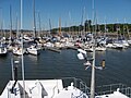 Marina à Saint-Laurent-de-l'île-d'Orléans.