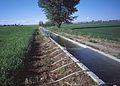 Image 15Surface irrigation system using siphon tubes