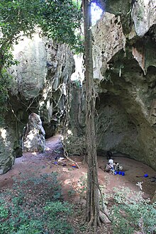 Photograph of a cave, with archaeologists excavating a trench in that cave.