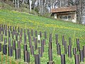 Hauenstein: Bunker Rüeblikeller von 1943