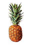 Ananas