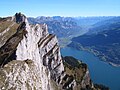 El lago visto desde el pico Leichtstamm (2101 m) en la sierra Churfirsten