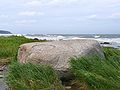 Image 15Erratics, boulders deposited by glaciers far from any existing glaciers, led geologists to the conclusion that climate had changed in the past. (from History of climate change science)