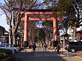 Torii.