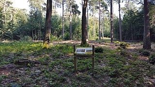 Site archéologique de Monarkengraf (commune de Vaalbeek).