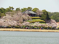 Cherry blossoms along Gyeongpo Lake.