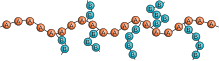 קופולימר שתול (Graft)