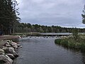 Llyn Itasca ar Afon Mississippi