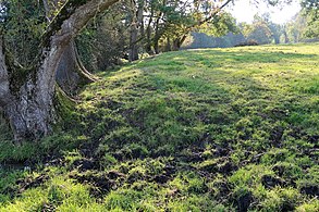 Motte Del Rigadrie, motte féodale