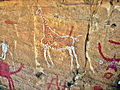 Image 21Prehistoric Libyan rock paintings in Tadrart Acacus reveal a Sahara once lush in vegetation and wildlife. (from History of Libya)