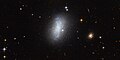 Galaxia enana irregular PGC 18431.[14]​