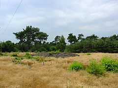 Tumulus de Genderstein.