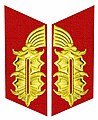 Kragenspiegel der Generale der Nationalen Volksarmee