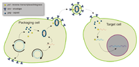 Thumbnail for Vectors in gene therapy