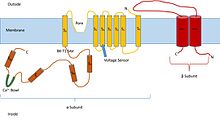 BK Channel Diagram