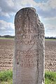 Römischer Meilenstein bei Jülich, Voreifel