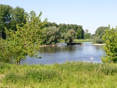 Isarmonding bij de Donau