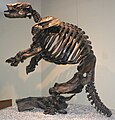 Esqueleto de Glossotherium