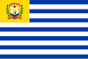 Flag of Simón Rodríguez Municipality