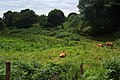 La vallée de l'Ouysse à l'est du village.