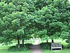 Arboretum Universitas Guelph