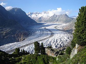 Lo gllaciér d’Aletsch, avouéc, en-ant, des aroles (Pinus cembra). (veré dèfenicion 2 048 × 1 536*)