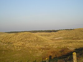 Duinen Den Helder-Callantsoog