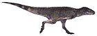 Aucasaurus garridoi