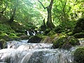 Lještanica river near Bijelo Polje