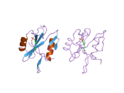 2ci9: NCK1 SH2-DOMAIN IN COMPLEX WITH A DODECAPHOSPHOPEPTIDE FROM EPEC PROTEIN TIR