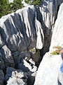 Crête au-dessus du Plateau des Glières, en France.