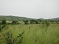 Burkina Faso me grassland