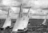 5.5 Metre