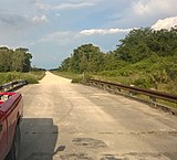 Picayune Strand State Forest