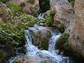 Tratto del fiume Cassibile nell'omonima cava