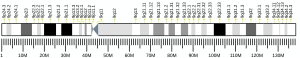 Chromosome 9 (human)