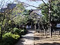 鳩森八幡神社