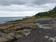 Ordivizische Sandsteine mit deutlicher Bioturbation