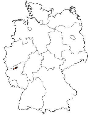 Verlauf der B 412