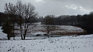 The moor and maar 'Dürres Maar' in Western Germany