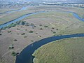 Auen des Okavango