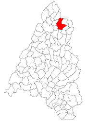 Location within Bihor County