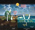 Image 39This diagram of the carbon cycle shows the movement of carbon between land, atmosphere, and oceans in billions of metric tons of carbon per year. Yellow numbers are natural fluxes, red are human contributions, white are stored carbon. (from Carbon dioxide in Earth's atmosphere)