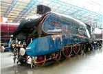 Mallard 4468