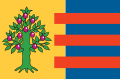 Vlag van Hitzum