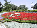 Image 10Flag of Turkey, from flowers