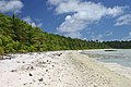 Praia norte de Palmyra